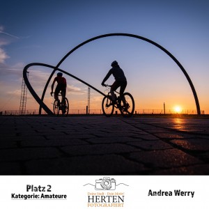 Andrea Werry