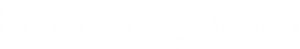 schlaegel-und-eisen-logo-weiss